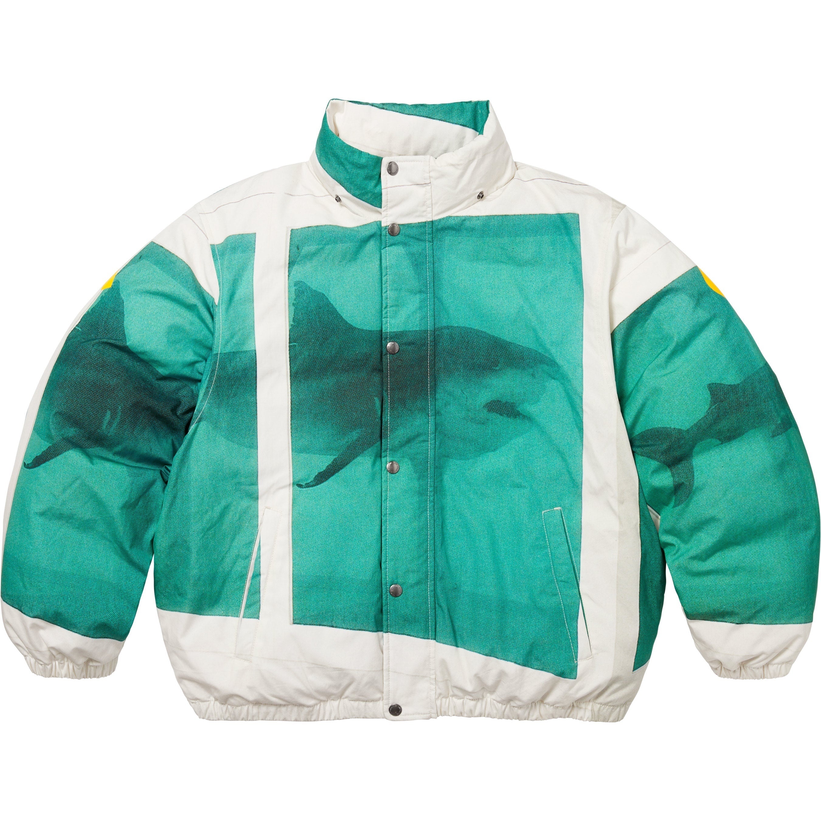 Supreme/Damien Hirst Down Puffer Jacket view 18